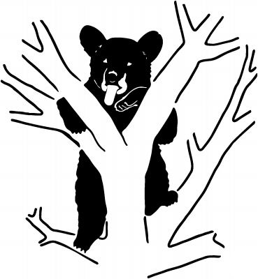 Bear in Tree 3 Sticker