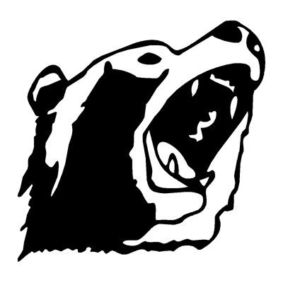 Grizzly Bear Head Sticker