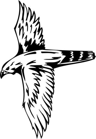 Predatory Bird Sticker 57