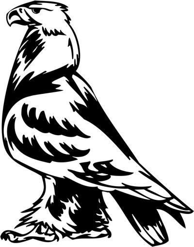 Predatory Bird Sticker 77