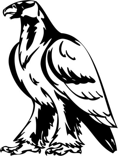 Predatory Bird Sticker 90