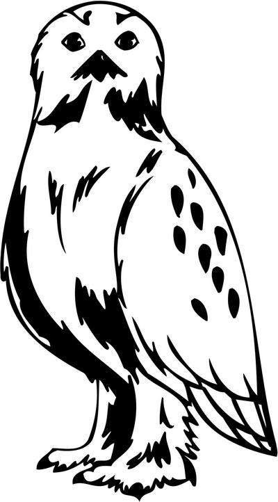 Predatory Bird Sticker 11