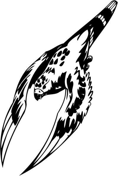 Predatory Bird Sticker 13