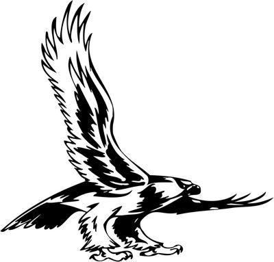 Predatory Bird Sticker 18