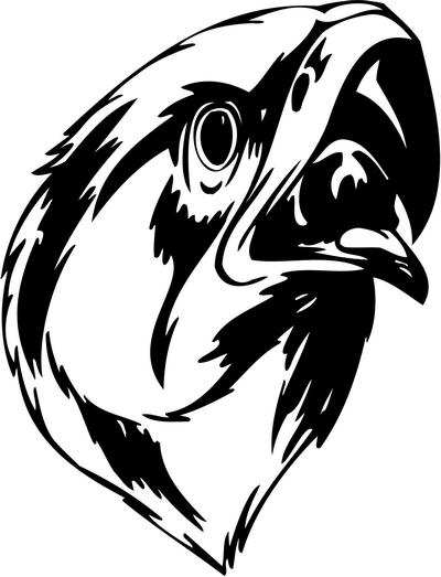 Predatory Bird Sticker 20