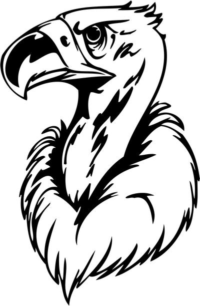 Predatory Bird Sticker 41