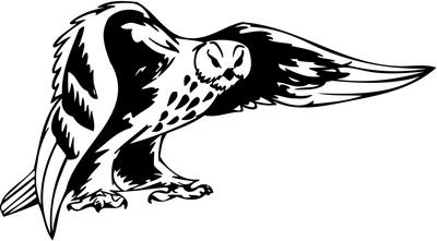 Predatory Bird Sticker 44