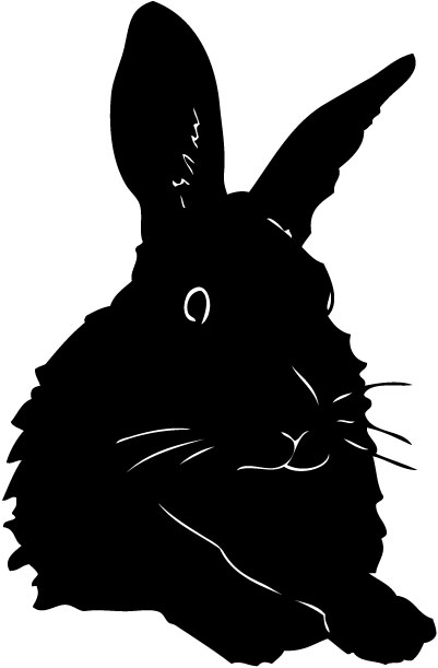 Rabbit 3 Sticker