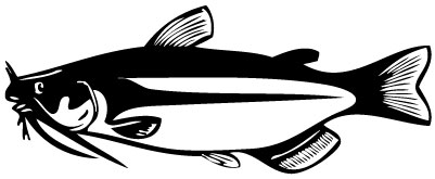 Catfish 3 Sticker
