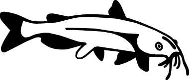 Catfish Sticker 3