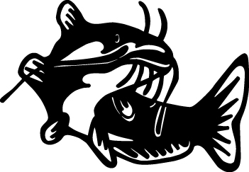 Catfish Sticker 4