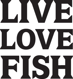Live Love Fish Sticker