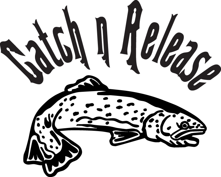 Catch n Release Salmon Fishing Sticker 2