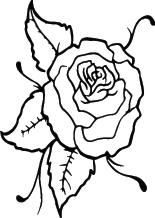 Rose Sticker 44