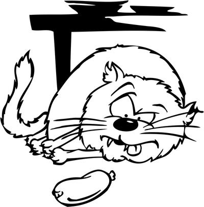 Funny Cat Sticker 12