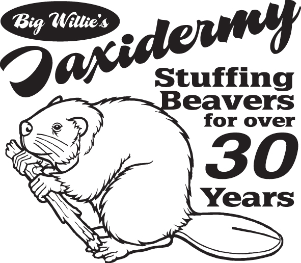 Taxidermy Stuffing Beavers for 30 years Sticker