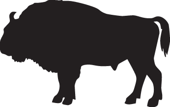 Buffalo Sticker 3
