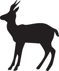 Antelope Sticker 3