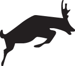 Antelope Sticker 4