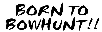 Born To Bow Hunt Sticker