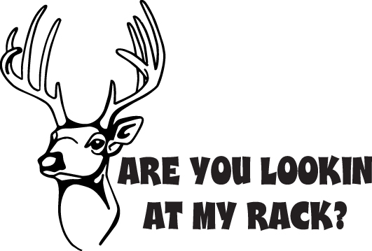 Are you Lookin At My Rack Deer Sticker 3