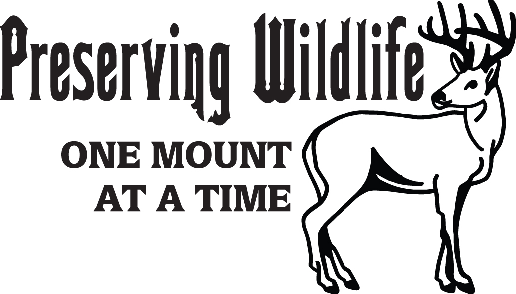 Preserving Wildlife One Mount at a Time Deer Hunting Sticker