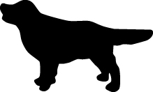 Pointer Dog Sticker 7