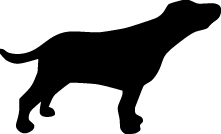 Pointer Dog Sticker 8