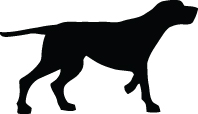 Pointer Dog Sticker 9