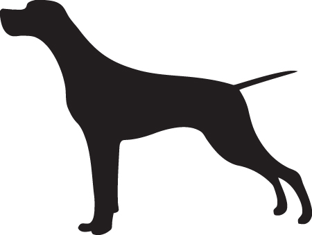 Pointer Dog Sticker 11