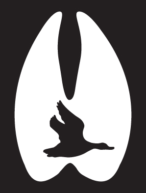 Duck In Hoof Print Sticker