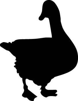 Duck Sticker 65