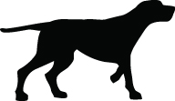 Pointer Dog Sticker 17