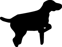Pointer Dog Sticker 20