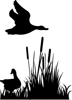 Duck Walking and Duck Flying Sticker