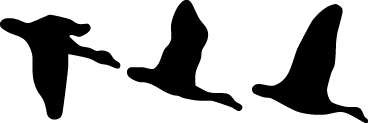 3 Ducks Flying Sticker 2