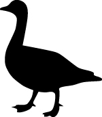 Duck Sticker 87