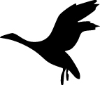 Duck Flying Sticker 7