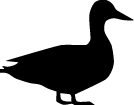 Duck Sticker 90