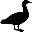 Duck Sticker 91
