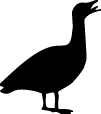 Duck Sticker 92