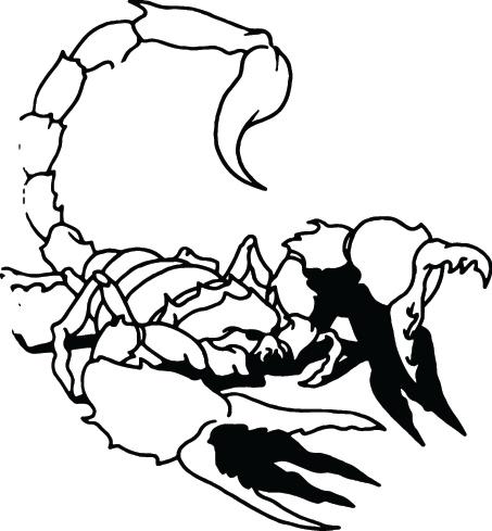 Scorpion Sticker 2
