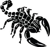Scorpion Sticker 4