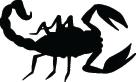Scorpion Sticker 9