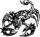 Scorpion Sticker 16
