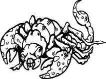 Scorpion Sticker 22