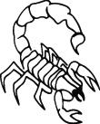 Scorpion Sticker 30