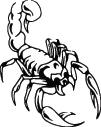 Scorpion Sticker 31
