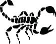 Scorpion Sticker 46