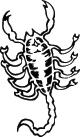 Scorpion Sticker 49